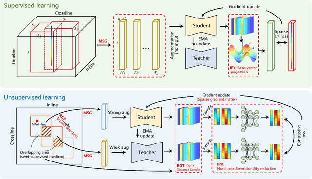 Figure 2 for ContrasInver: Voxel-wise Contrastive Semi-supervised Learning for Seismic Inversion