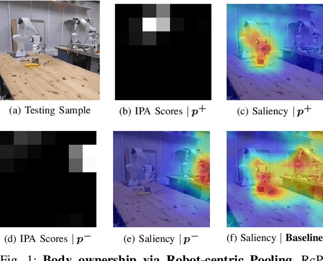 Figure 1 for Raising Body Ownership in End-to-End Visuomotor Policy Learning via Robot-Centric Pooling