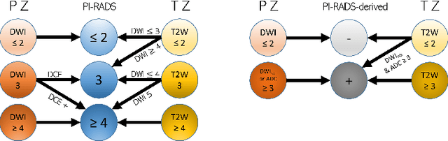 Figure 1 for Combiner and HyperCombiner Networks: Rules to Combine Multimodality MR Images for Prostate Cancer Localisation