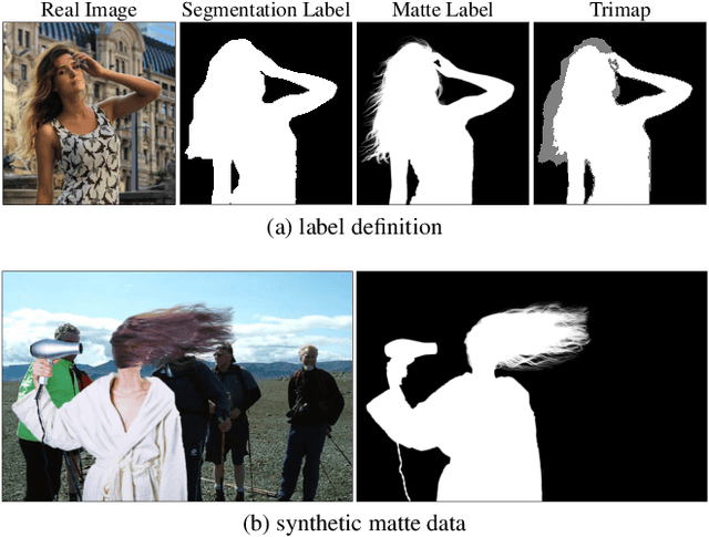 Figure 1 for Towards Label-Efficient Human Matting: A Simple Baseline for Weakly Semi-Supervised Trimap-Free Human Matting