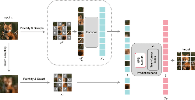 Figure 1 for SRMAE: Masked Image Modeling for Scale-Invariant Deep Representations