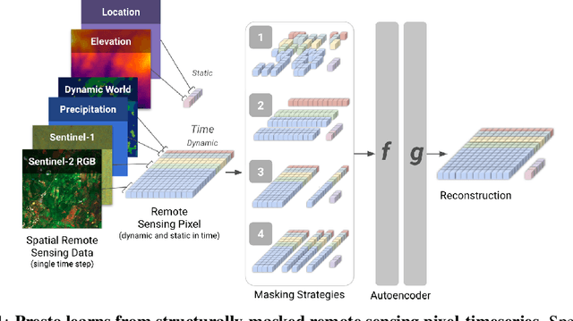 Figure 1 for Lightweight, Pre-trained Transformers for Remote Sensing Timeseries