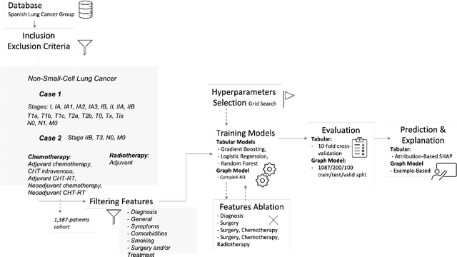 Figure 1 for Machine Learning-Assisted Recurrence Prediction for Early-Stage Non-Small-Cell Lung Cancer Patients