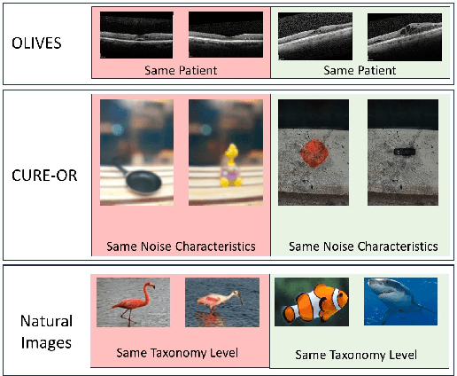 Figure 1 for Taxes Are All You Need: Integration of Taxonomical Hierarchy Relationships into the Contrastive Loss