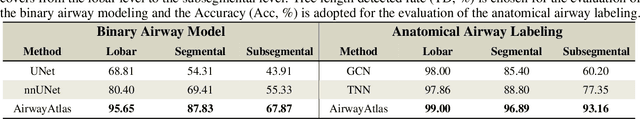 Figure 2 for A Digitalized Atlas for Pulmonary Airway