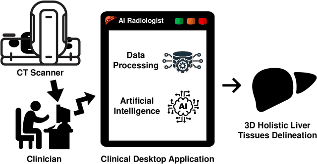 Figure 1 for AI Radiologist: Revolutionizing Liver Tissue Segmentation with Convolutional Neural Networks and a Clinician-Friendly GUI