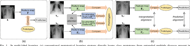 Figure 1 for Cross- and Intra-image Prototypical Learning for Multi-label Disease Diagnosis and Interpretation