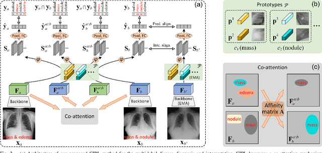 Figure 2 for Cross- and Intra-image Prototypical Learning for Multi-label Disease Diagnosis and Interpretation