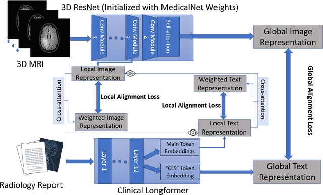 Figure 1 for Tumor Location-weighted MRI-Report Contrastive Learning: A Framework for Improving the Explainability of Pediatric Brain Tumor Diagnosis