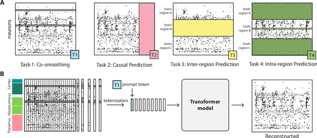 Figure 1 for Towards a "universal translator" for neural dynamics at single-cell, single-spike resolution