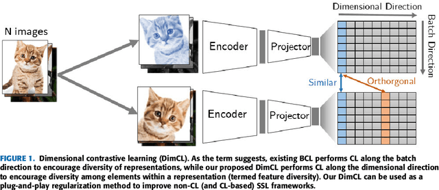 Figure 1 for DimCL: Dimensional Contrastive Learning For Improving Self-Supervised Learning