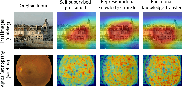 Figure 4 for Functional Knowledge Transfer with Self-supervised Representation Learning