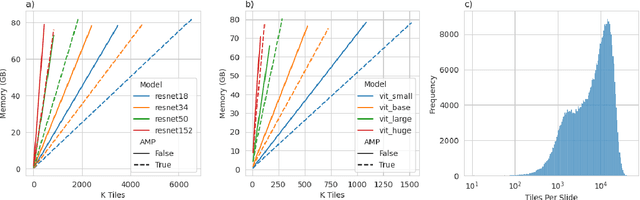 Figure 1 for Beyond Multiple Instance Learning: Full Resolution All-In-Memory End-To-End Pathology Slide Modeling