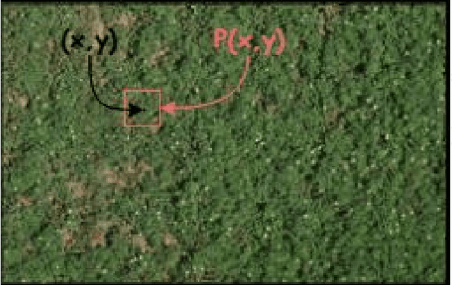 Figure 1 for Level Set KSVD