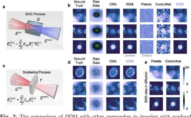 Figure 2 for General Intelligent Imaging and Uncertainty Quantification by Deterministic Diffusion Model