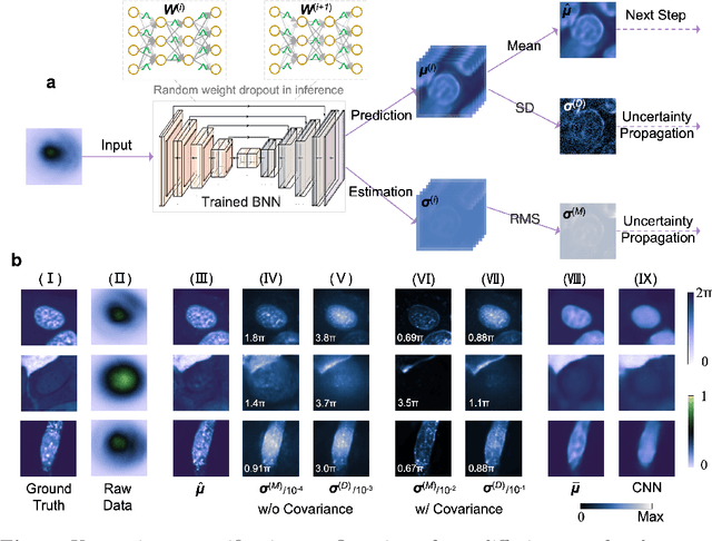 Figure 3 for General Intelligent Imaging and Uncertainty Quantification by Deterministic Diffusion Model