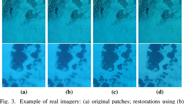 Figure 3 for Sea-Undistort: A Dataset for Through-Water Image Restoration in High Resolution Airborne Bathymetric Mapping