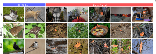 Figure 3 for Referring Camouflaged Object Detection