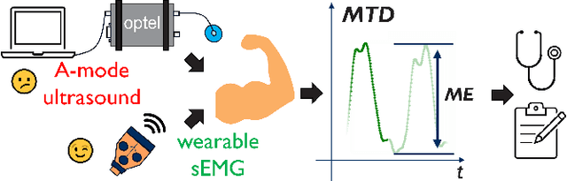 Figure 1 for Predicting Muscle Thickness Deformation from Muscle Activation Patterns: A Dual-Attention Framework