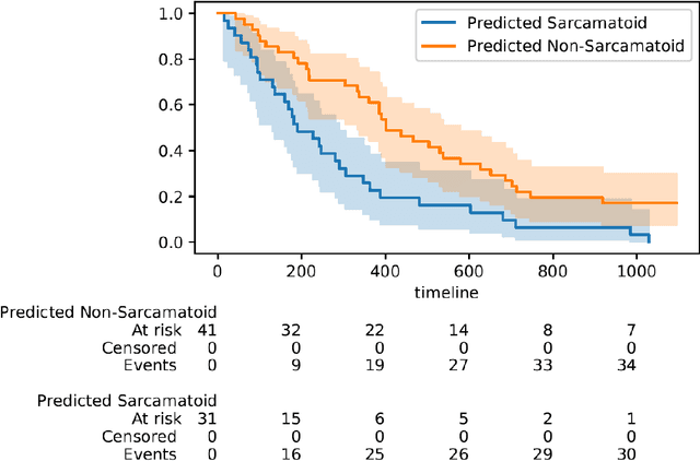 Figure 3 for MesoGraph: Automatic Profiling of Malignant Mesothelioma Subtypes from Histological Images