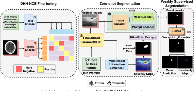 Figure 1 for MedCLIP-SAMv2: Towards Universal Text-Driven Medical Image Segmentation