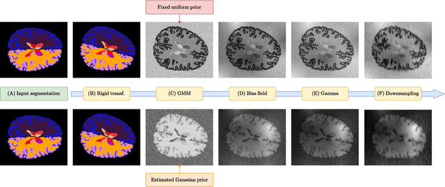 Figure 1 for SynthBA: Reliable Brain Age Estimation Across Multiple MRI Sequences and Resolutions