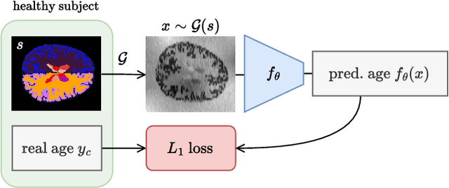 Figure 2 for SynthBA: Reliable Brain Age Estimation Across Multiple MRI Sequences and Resolutions