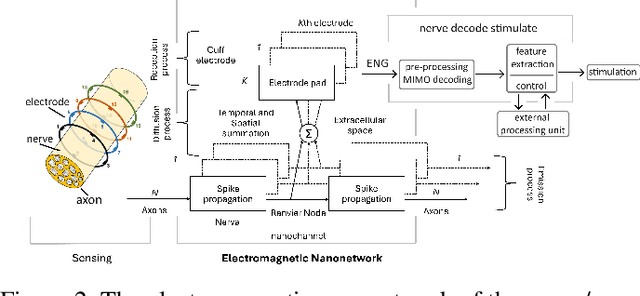 Figure 2 for Artificial Neural Networks-based Real-time Classification of ENG Signals for Implanted Nerve Interfaces