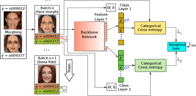 Figure 1 for MorphGuard: Morph Specific Margin Loss for Enhancing Robustness to Face Morphing Attacks