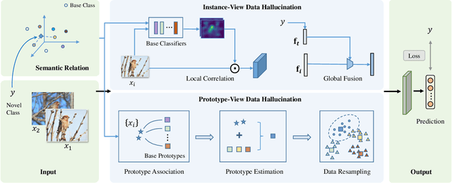 Figure 2 for Dual-View Data Hallucination with Semantic Relation Guidance for Few-Shot Image Recognition