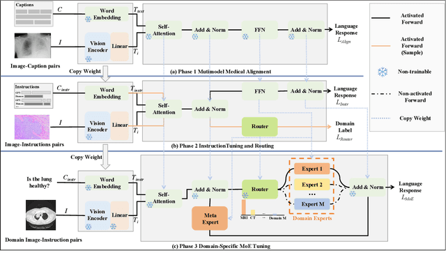 Figure 3 for MoE-TinyMed: Mixture of Experts for Tiny Medical Large Vision-Language Models