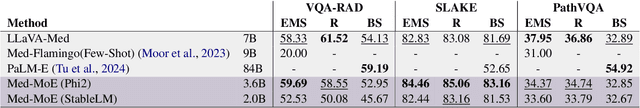 Figure 4 for MoE-TinyMed: Mixture of Experts for Tiny Medical Large Vision-Language Models