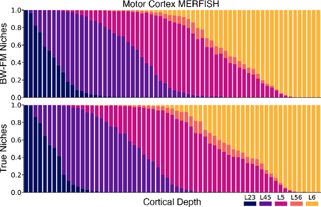 Figure 4 for Wasserstein Flow Matching: Generative modeling over families of distributions