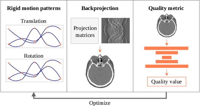 Figure 1 for On the Influence of Smoothness Constraints in Computed Tomography Motion Compensation