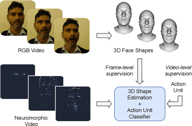 Figure 1 for Neuromorphic Facial Analysis with Cross-Modal Supervision