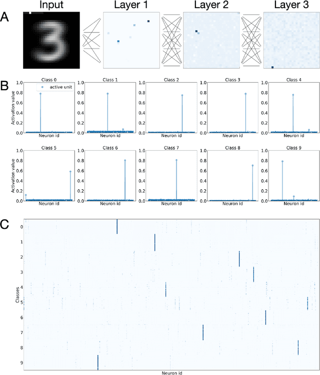 Figure 1 for Emergent representations in networks trained with the Forward-Forward algorithm