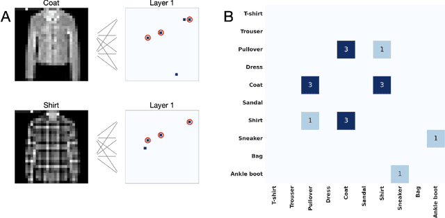 Figure 4 for Emergent representations in networks trained with the Forward-Forward algorithm