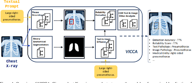 Figure 1 for VICCA: Visual Interpretation and Comprehension of Chest X-ray Anomalies in Generated Report Without Human Feedback