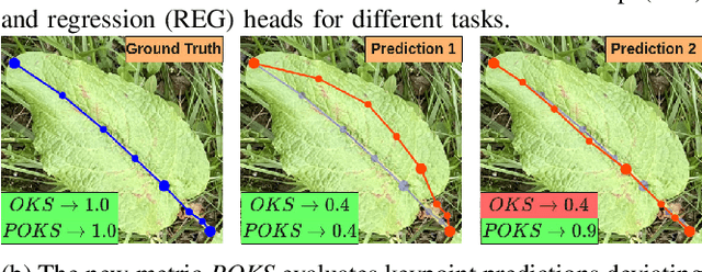 Figure 1 for Zoom in on the Plant: Fine-grained Analysis of Leaf, Stem and Vein Instances