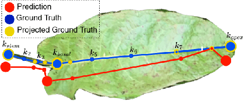 Figure 2 for Zoom in on the Plant: Fine-grained Analysis of Leaf, Stem and Vein Instances