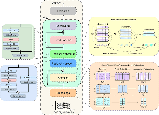 Figure 3 for Cardioformer: Advancing AI in ECG Analysis with Multi-Granularity Patching and ResNet