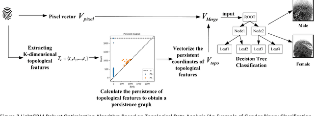 Figure 1 for LightGBM robust optimization algorithm based on topological data analysis