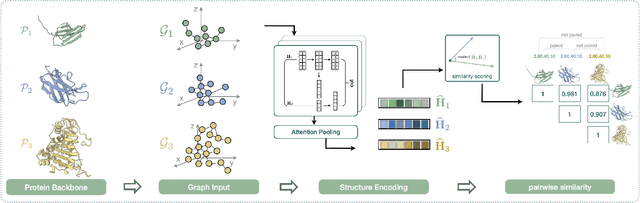 Figure 1 for Protein Representation Learning with Sequence Information Embedding: Does it Always Lead to a Better Performance?