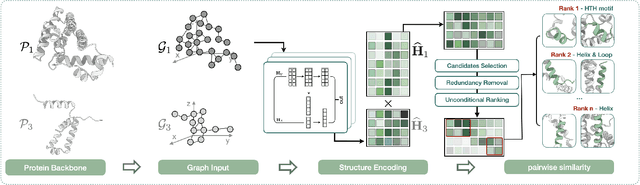 Figure 2 for Protein Representation Learning with Sequence Information Embedding: Does it Always Lead to a Better Performance?