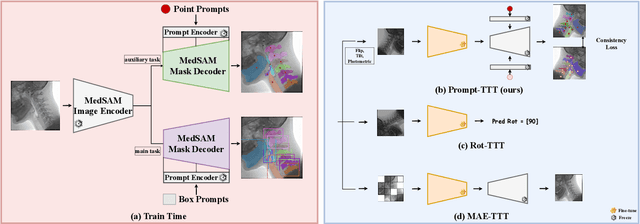 Figure 1 for Tuning Vision Foundation Model via Test-Time Prompt-Guided Training for VFSS Segmentations