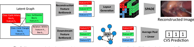 Figure 2 for Latent Graph Representations for Critical View of Safety Assessment