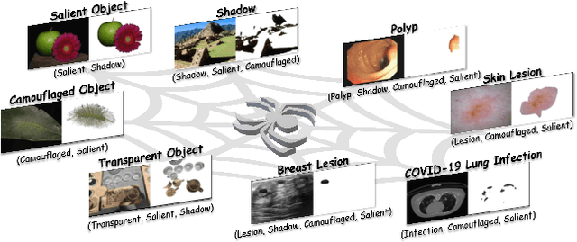 Figure 1 for Spider: A Unified Framework for Context-dependent Concept Understanding