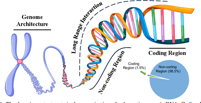 Figure 1 for GenBench: A Benchmarking Suite for Systematic Evaluation of Genomic Foundation Models