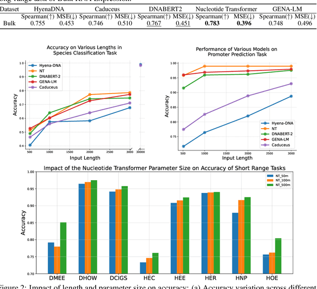 Figure 4 for GenBench: A Benchmarking Suite for Systematic Evaluation of Genomic Foundation Models