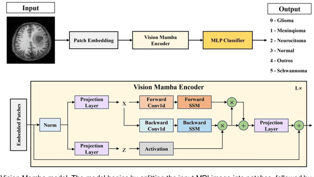 Figure 2 for Advancing Efficient Brain Tumor Multi-Class Classification -- New Insights from the Vision Mamba Model in Transfer Learning